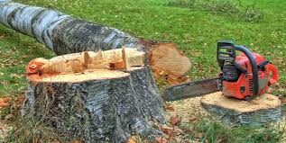 Best Utility Line Clearance  in Flourtown, PA