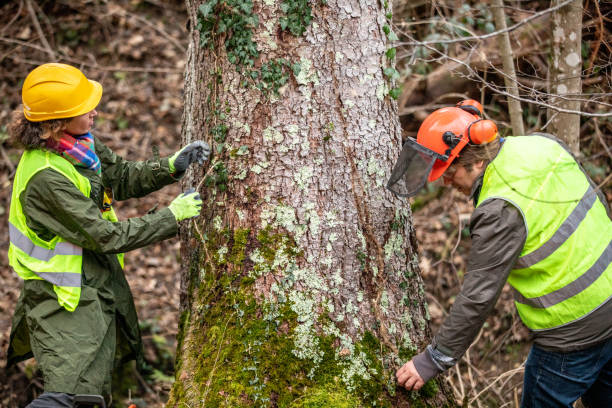 Best Tree Preservation Services  in Flourtown, PA